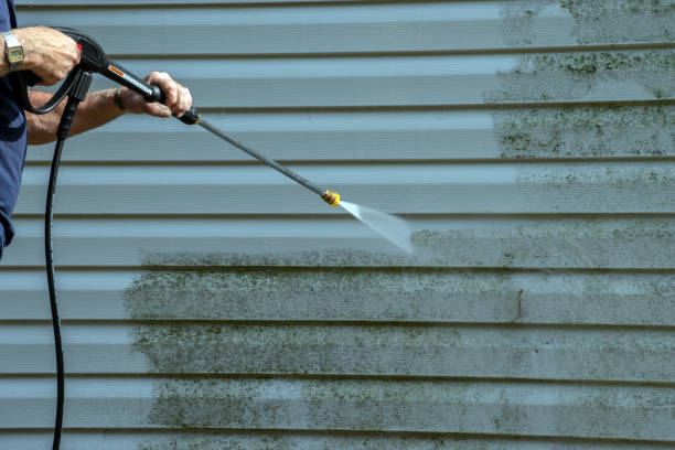 Best Sidewalk and Walkway Cleaning  in Downers Grove, IL